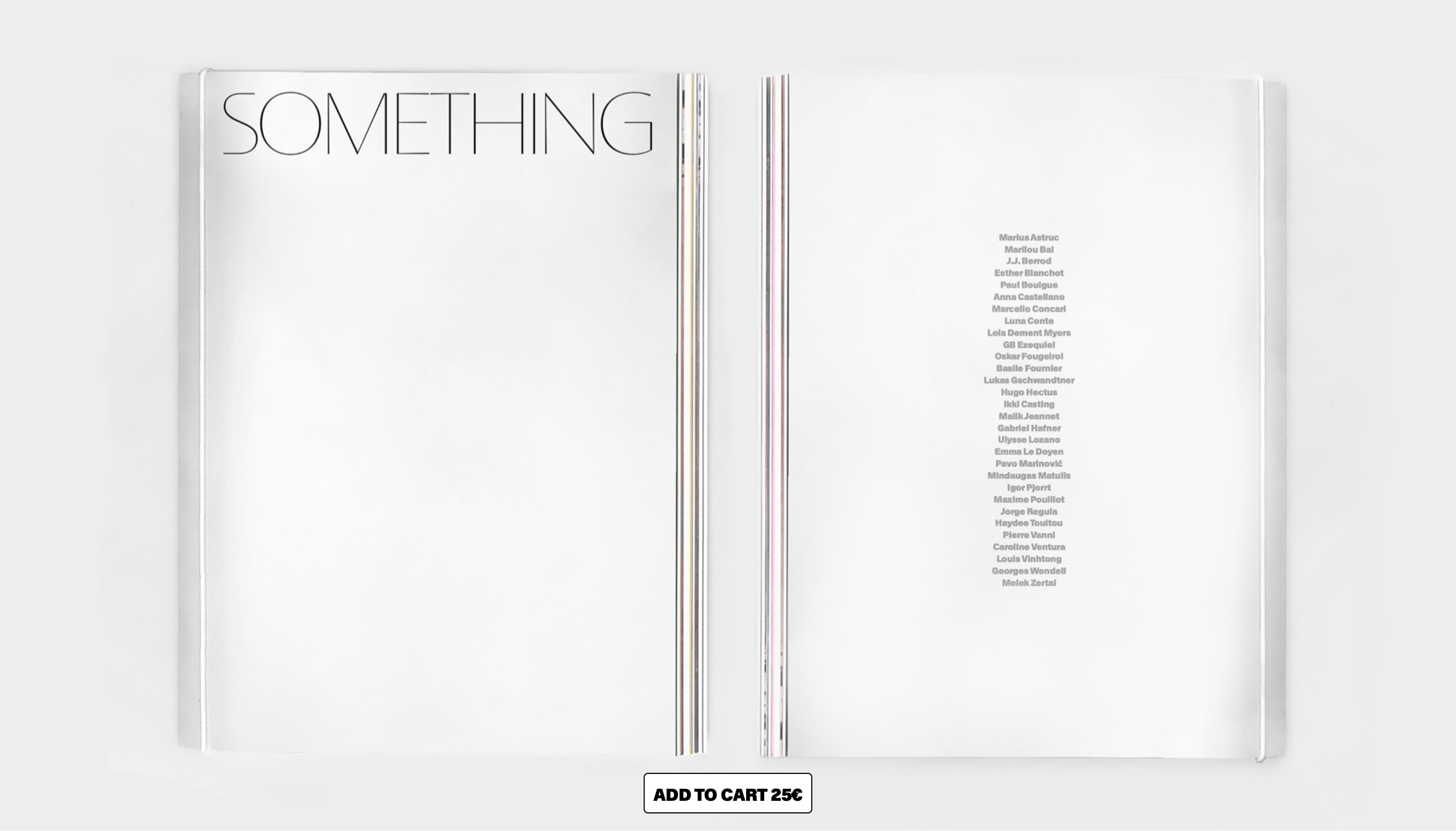 Cover image for SOMETHING EDITED