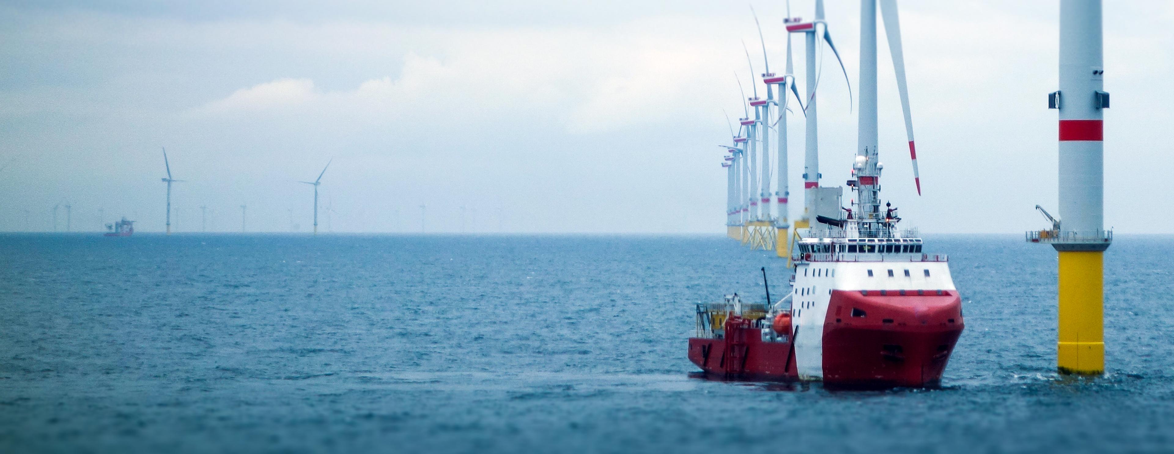 picture of a RoRo vessel