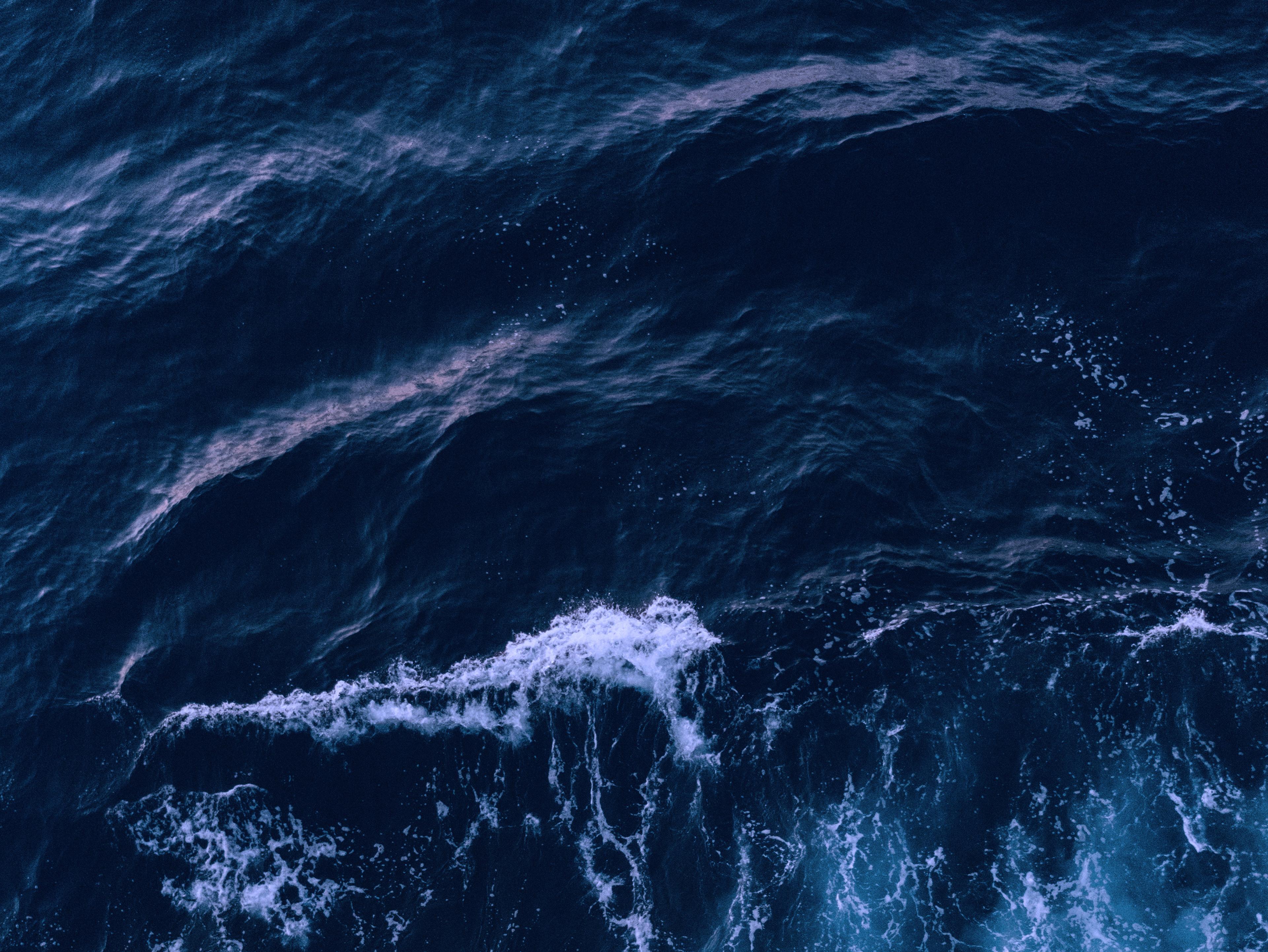 High accuracy motion measurements in any sea condition.