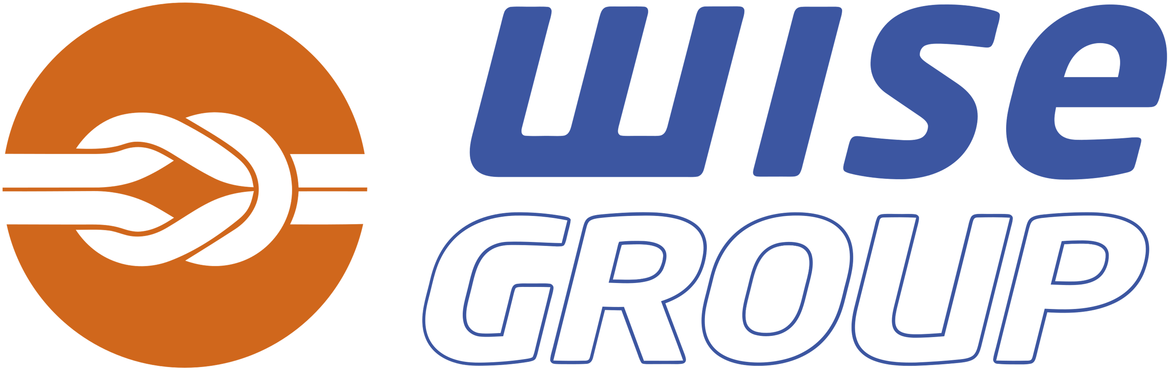 Wise group logo