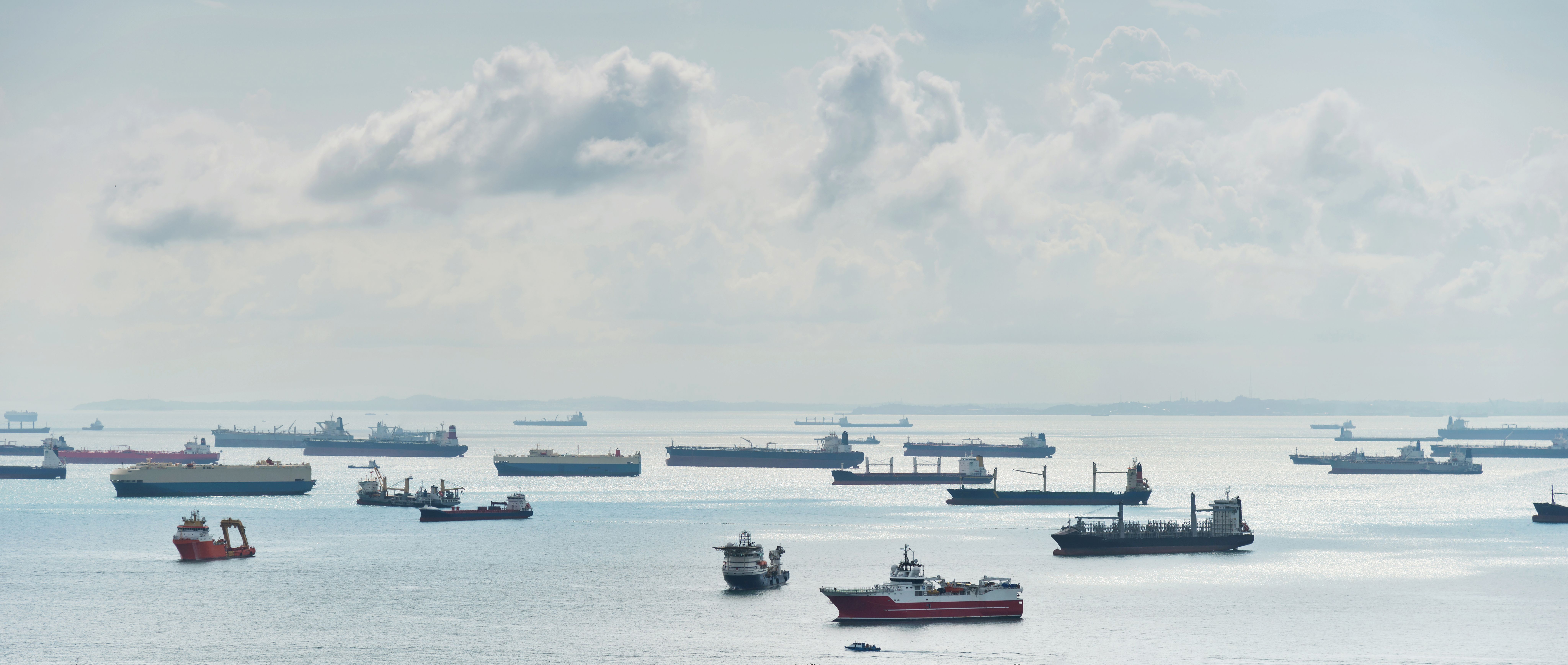 Image by bernd dittrich at unsplash