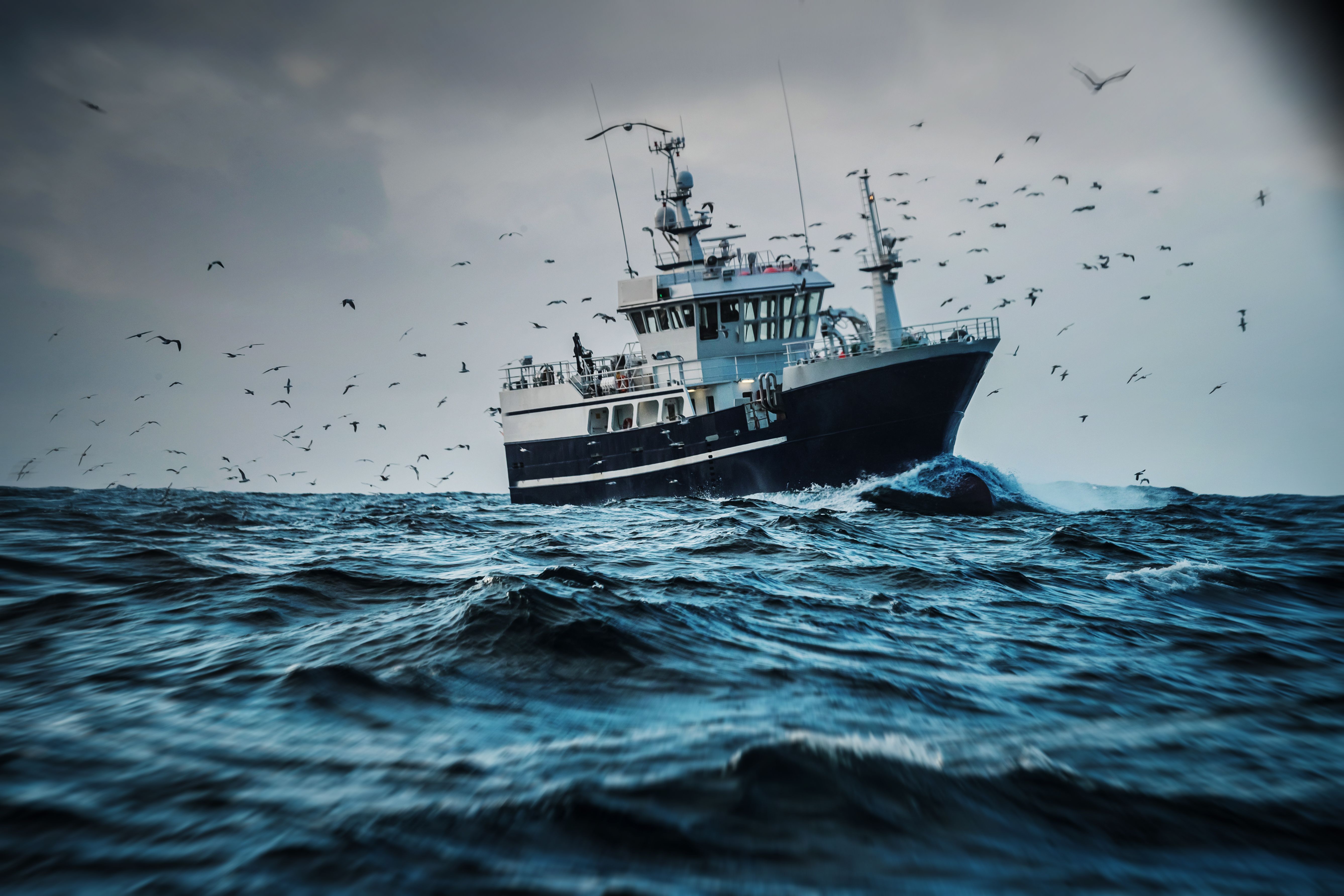 picture of fish boat vessel