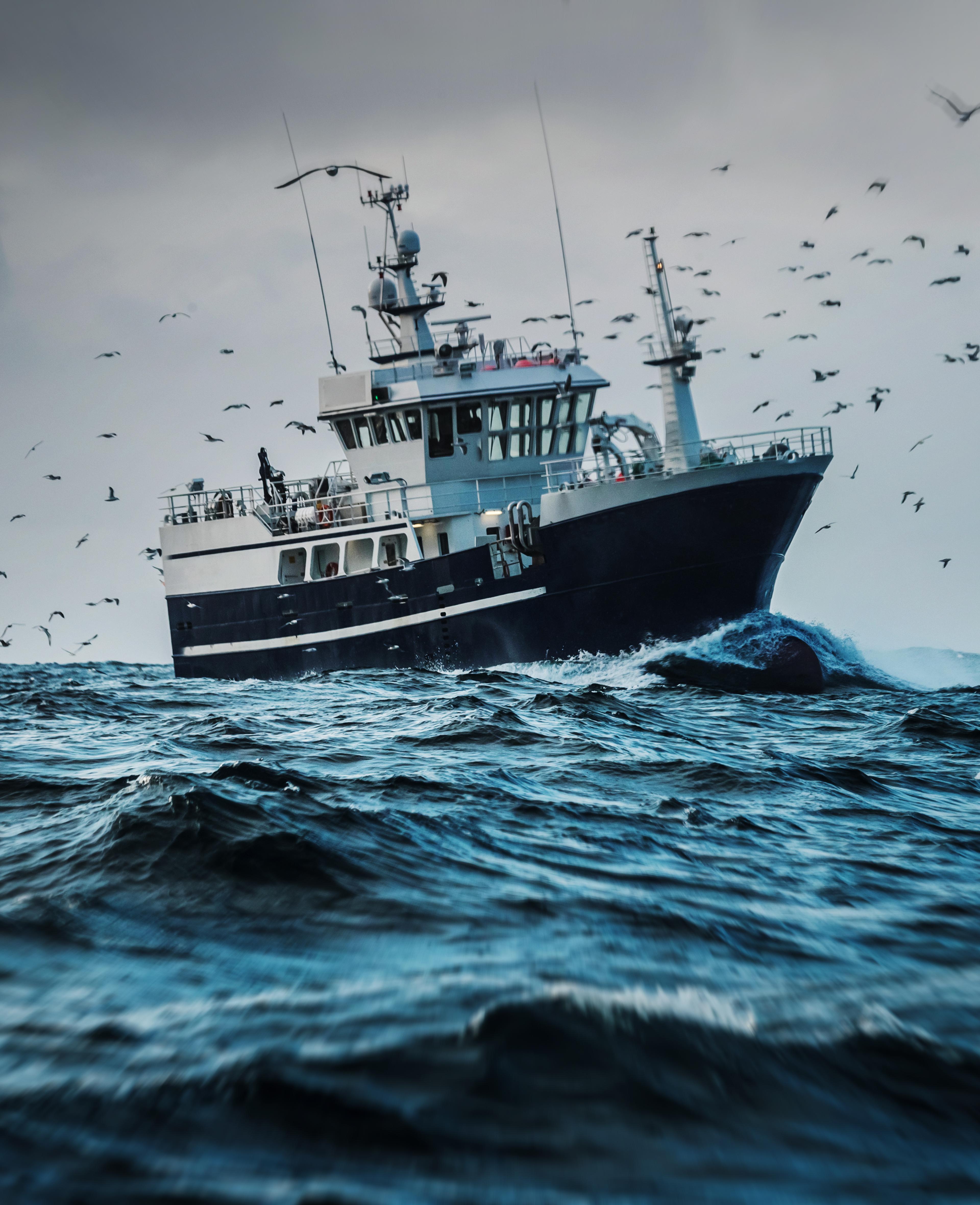 picture of fish boat vessel