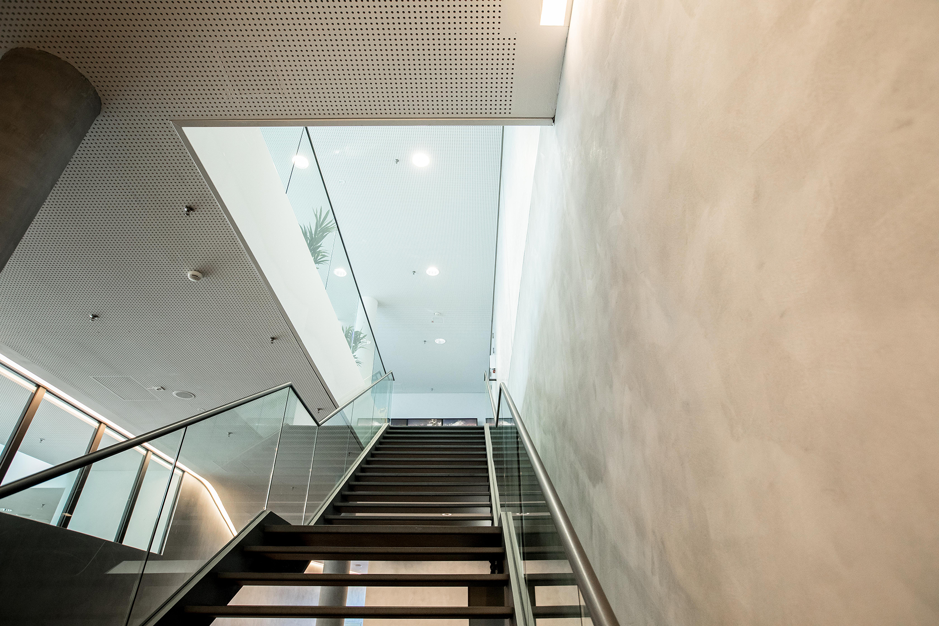 Blick auf eine moderne Treppe in einem Gebäude mit Betonwänden und einer Decke mit perforierten Metallplatten. Natürliches Licht fällt durch ein Oberlicht ein, und man sieht das Grün von Pflanzen im oberen Stockwerk.