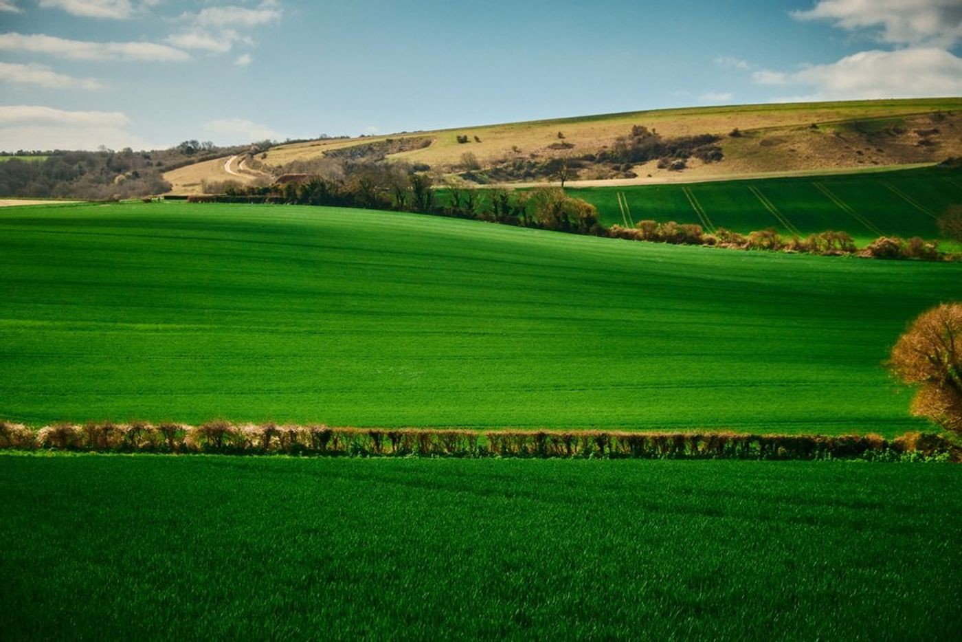 Trekking through Time: An Epic Hiking Adventure in Southern England gallery image 13