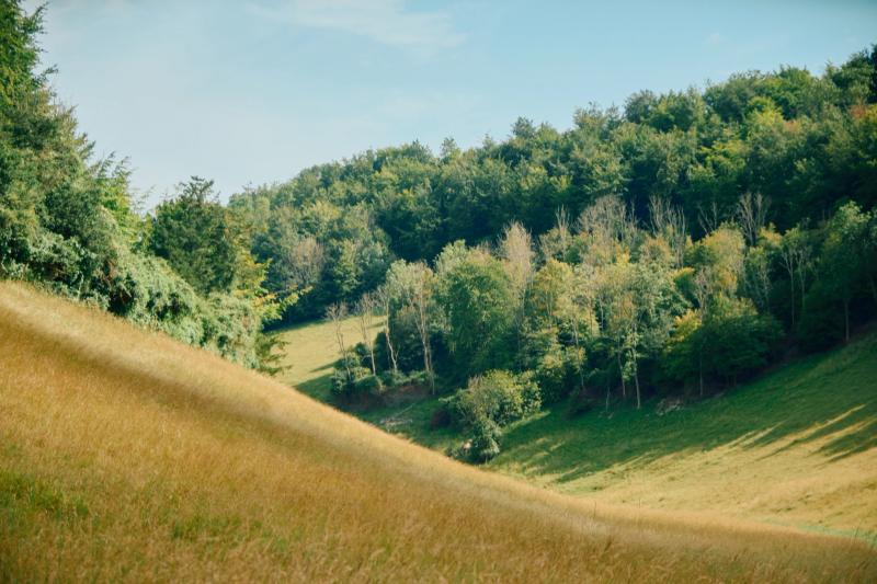 Nature gallery image 27