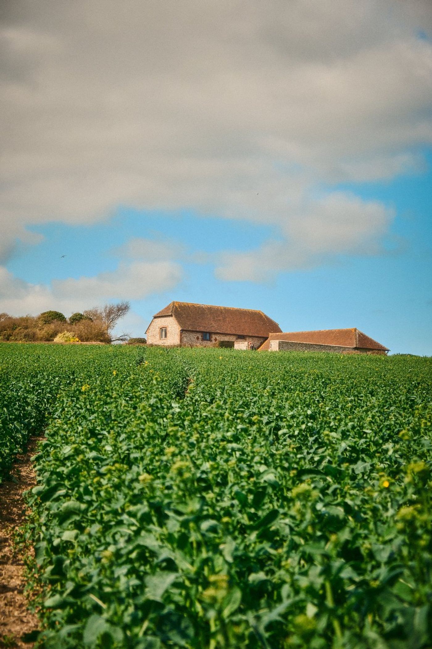 Trekking through Time: An Epic Hiking Adventure in Southern England gallery image 20