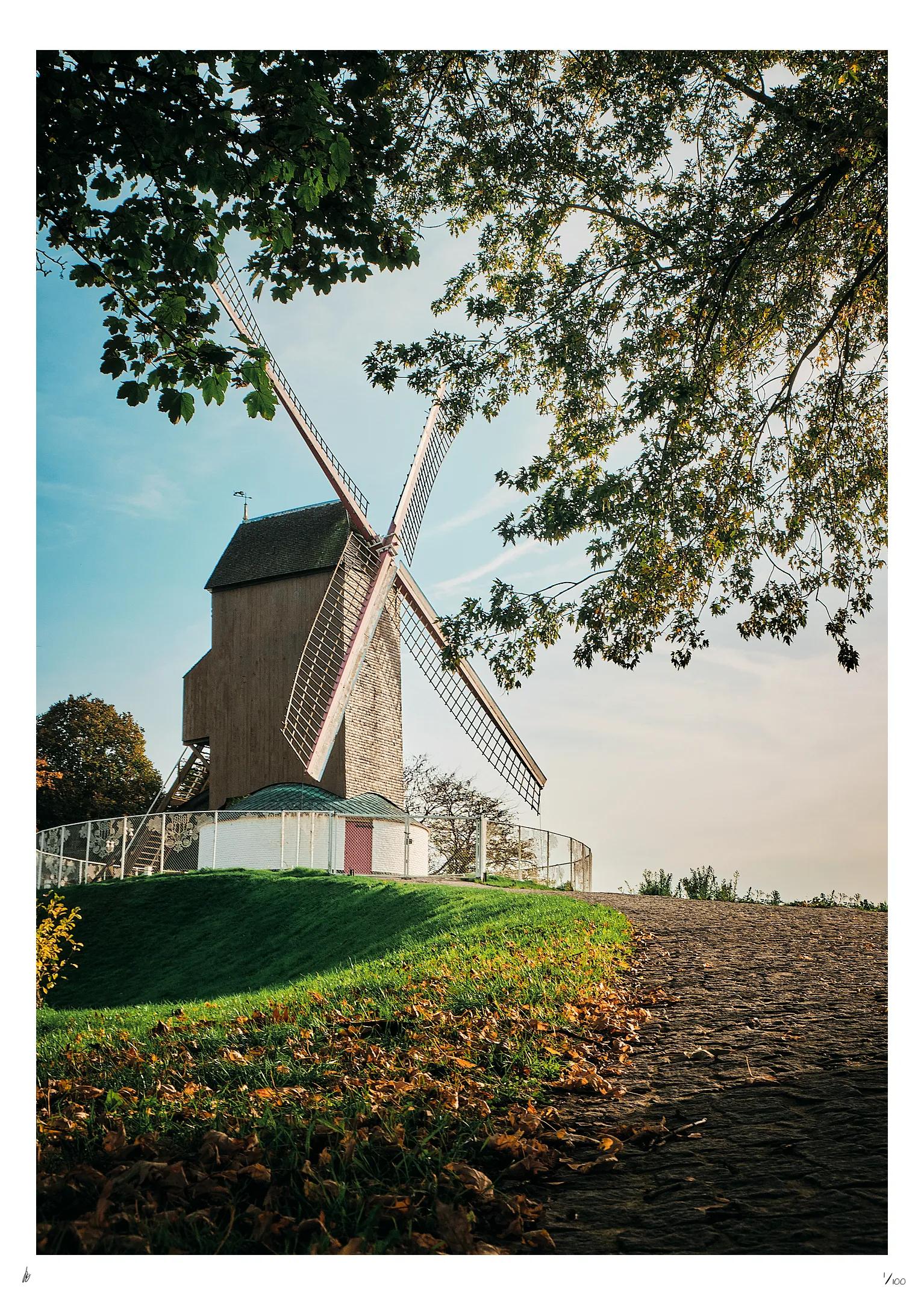 Windmill in Bruges - Classic Photo Print