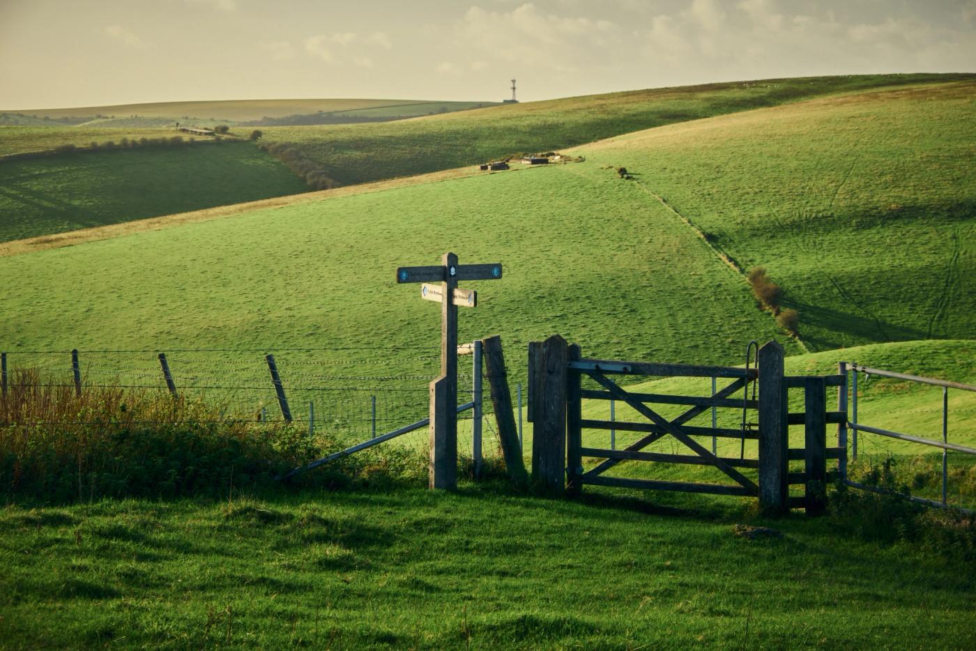 A serene countryside scene features a wooden gate with a sign, a green field, a power line tower, and a few grazing cows.