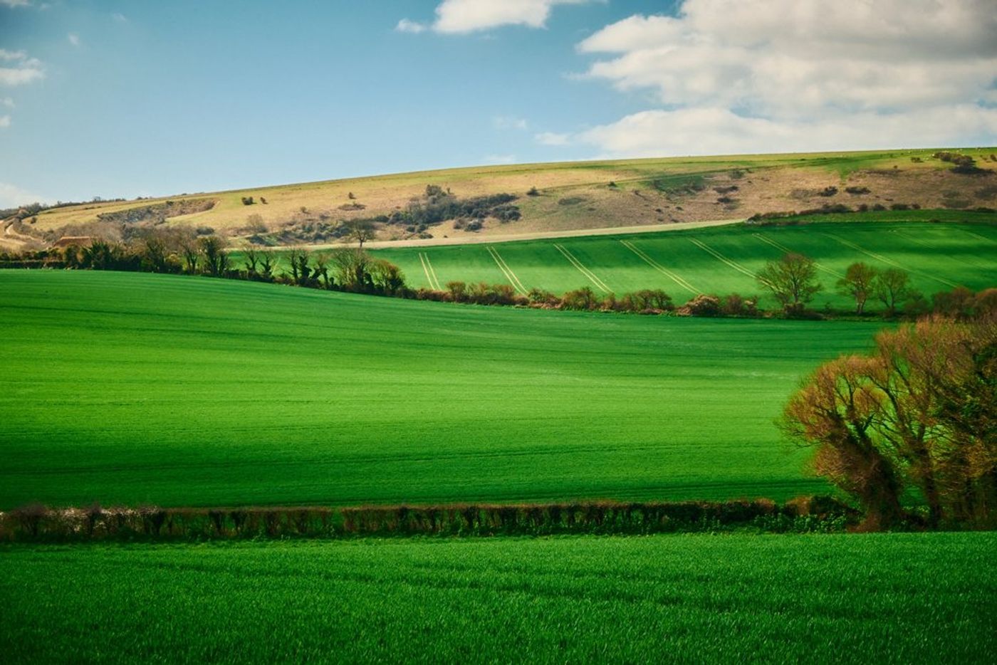 Trekking through Time: An Epic Hiking Adventure in Southern England gallery image 24