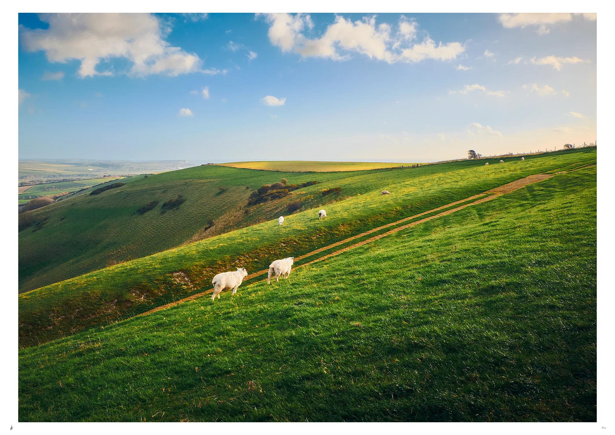 The Rolling Hills of South Downs National Park - Scenic Photo Print