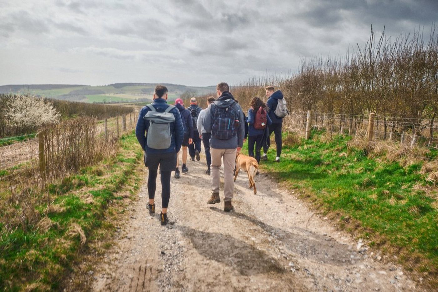A Scenic Saturday Adventure: Trek/Fit's Amberley to Arundel Hike gallery image 18