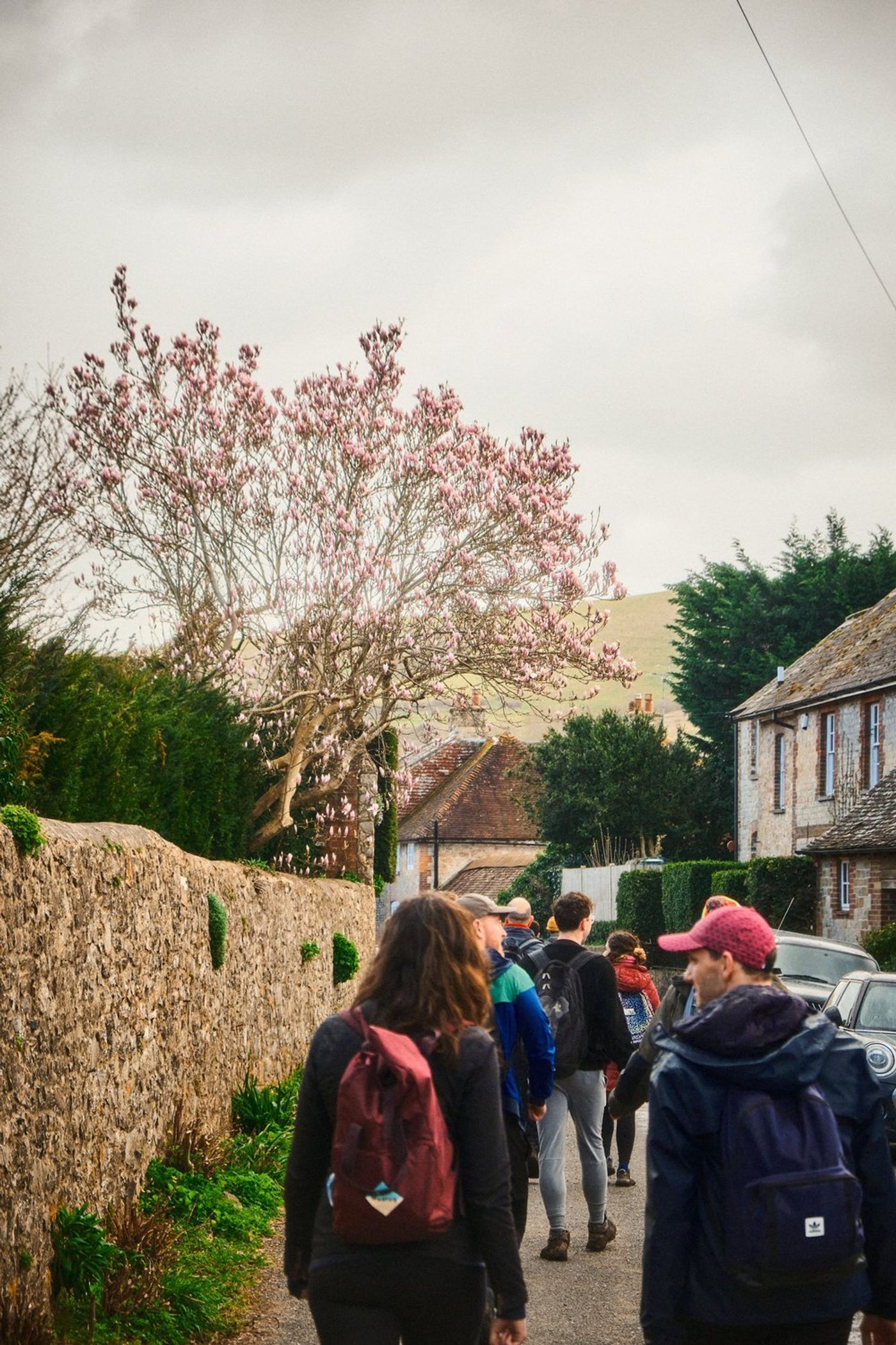 A Scenic Saturday Adventure: Trek/Fit's Amberley to Arundel Hike gallery image 7
