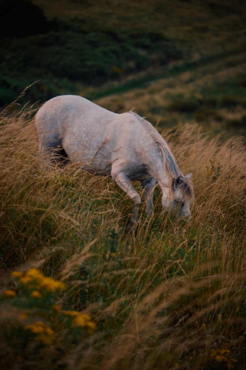Nature gallery image 36