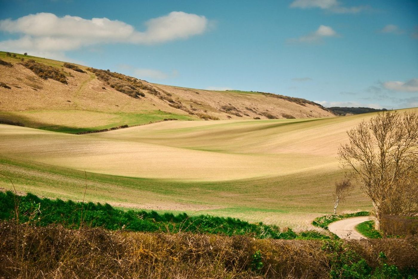 Trekking through Time: An Epic Hiking Adventure in Southern England gallery image 21