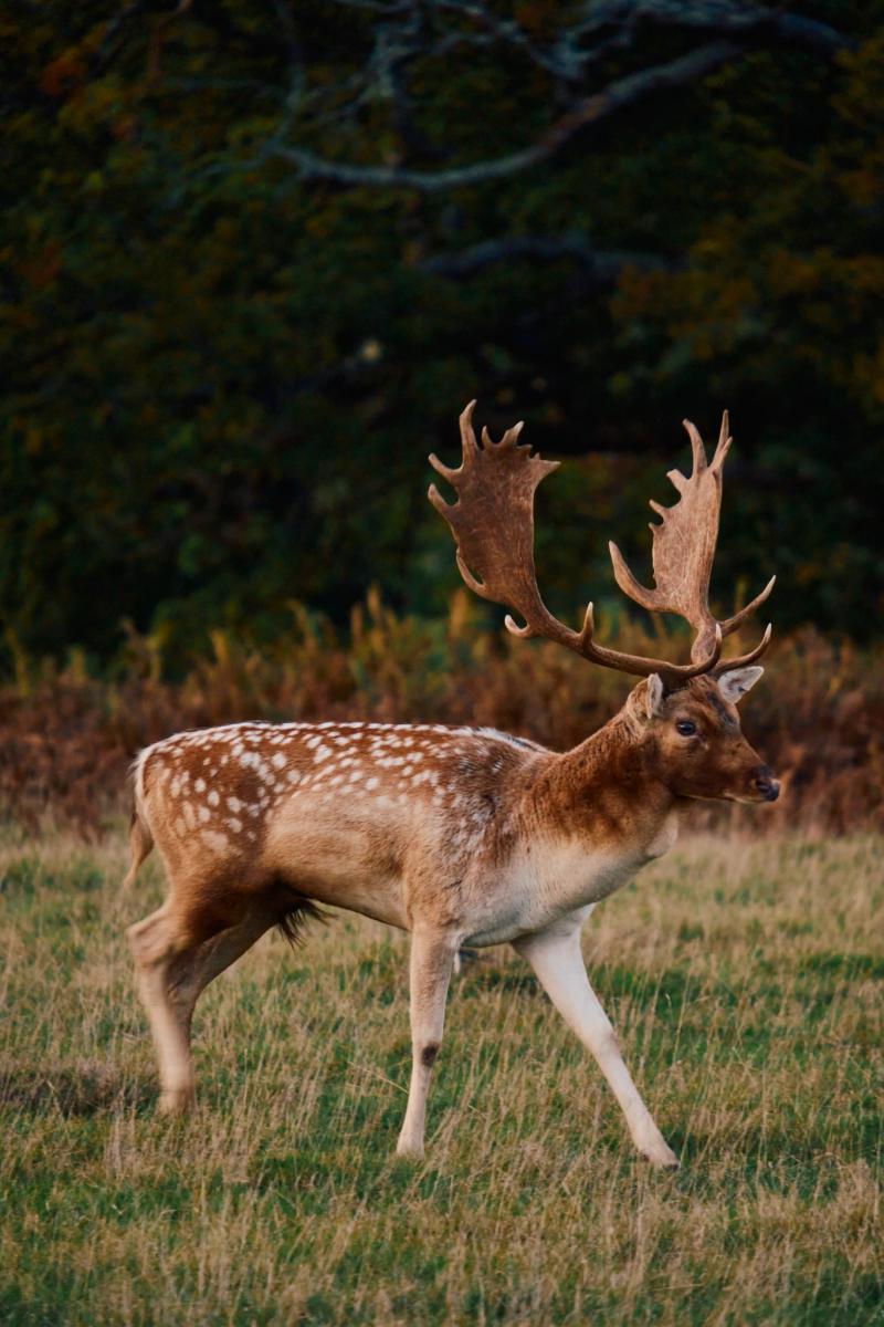 Nature gallery image 59