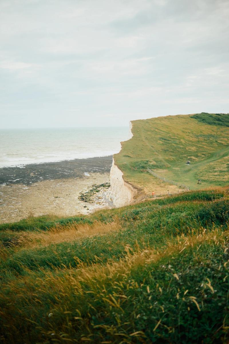 Nature gallery image 23
