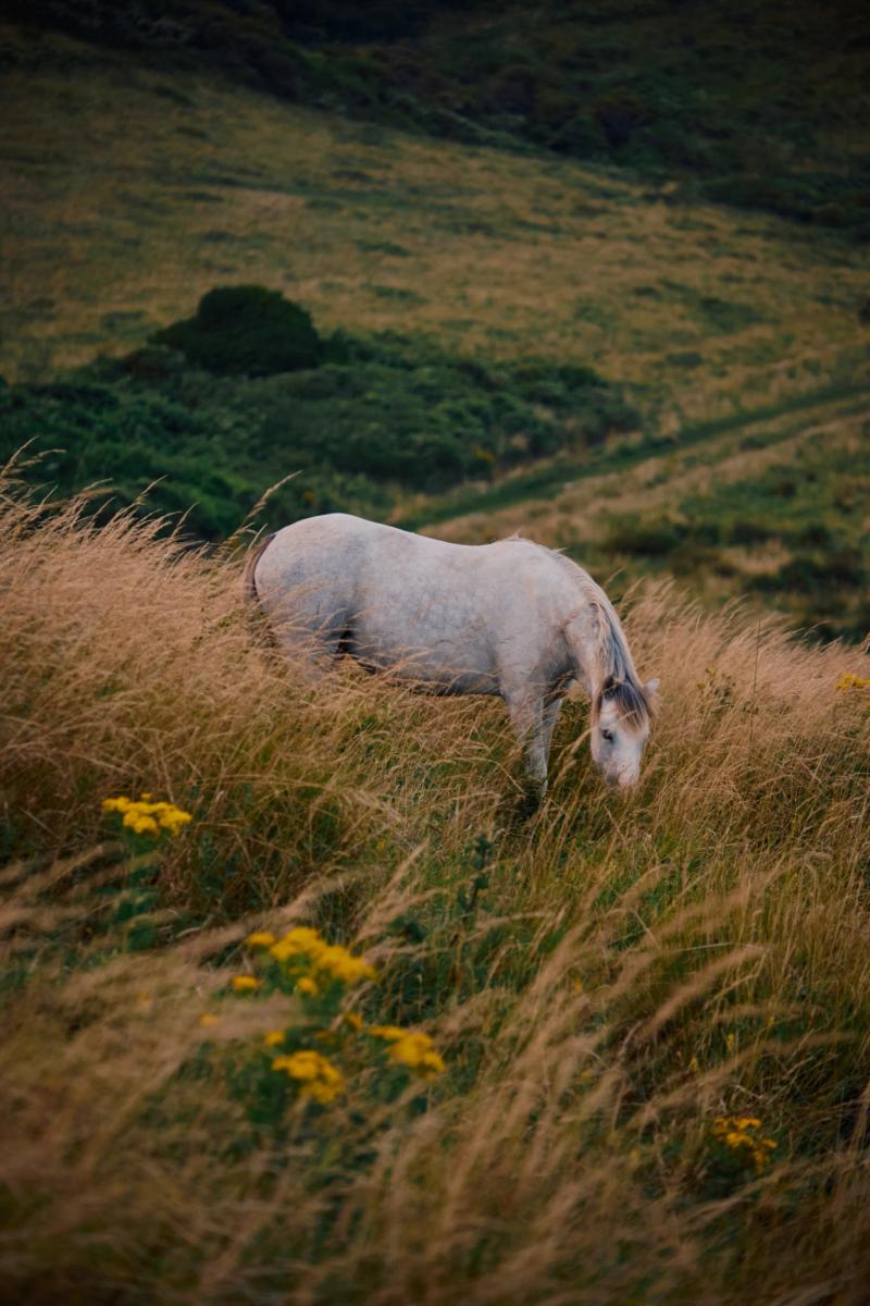 Nature gallery image 37