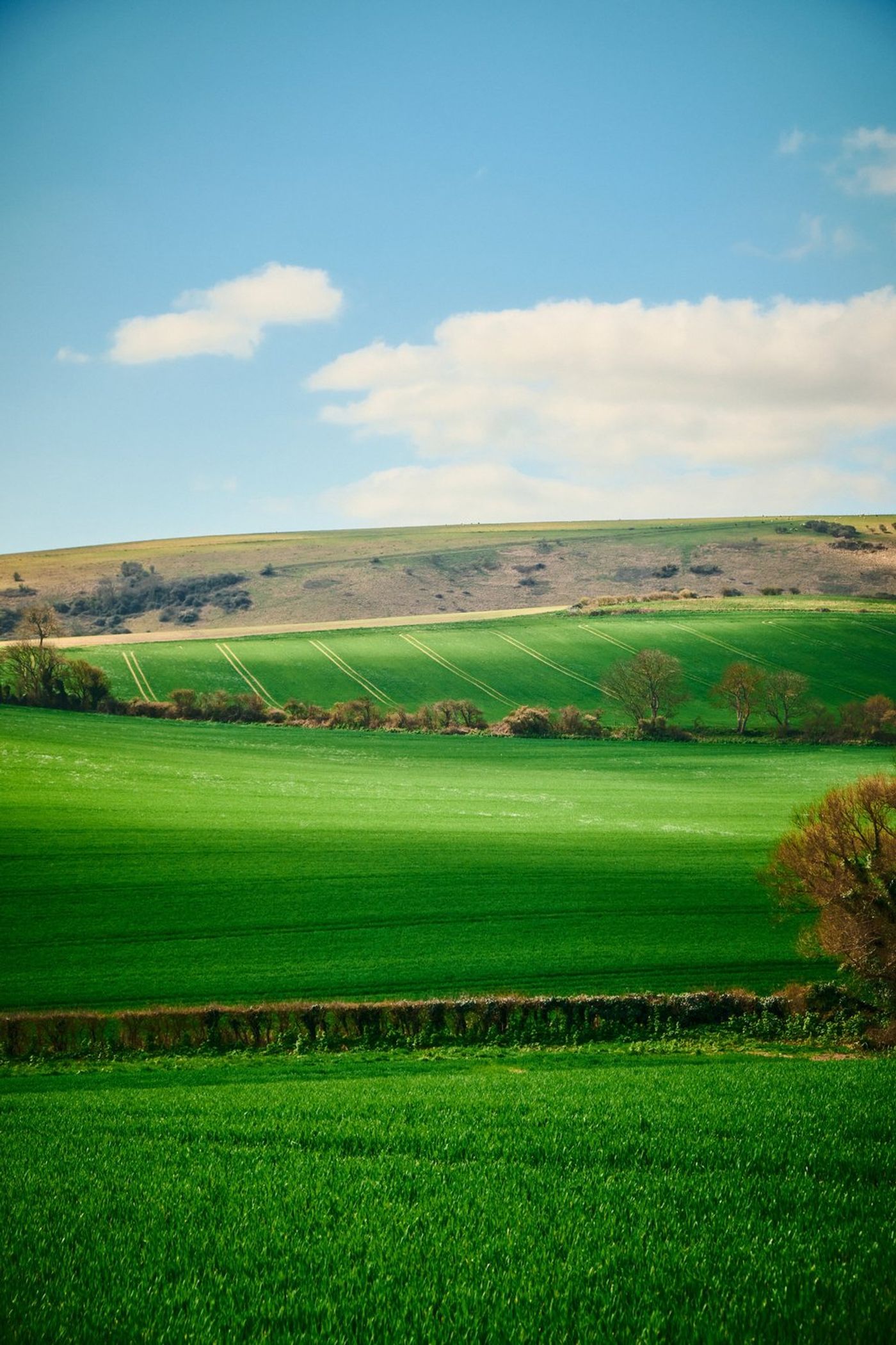 Trekking through Time: An Epic Hiking Adventure in Southern England gallery image 23