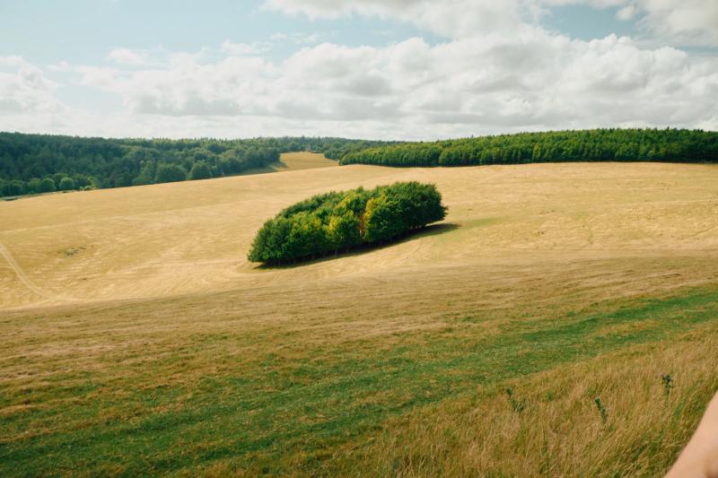 Nature gallery image 28