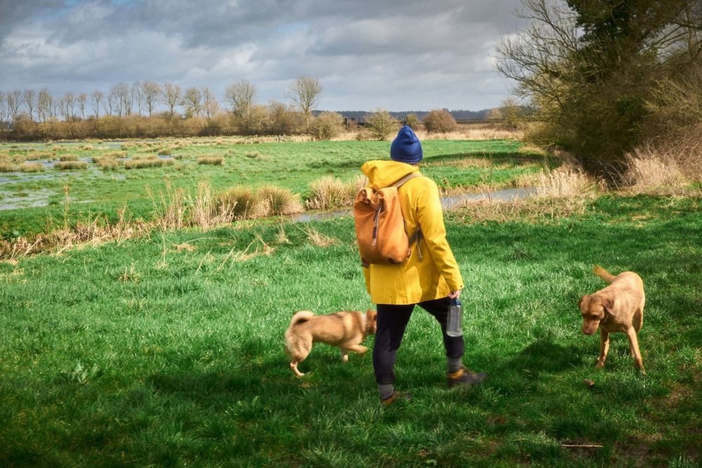 A Scenic Saturday Adventure: Trek/Fit's Amberley to Arundel Hike gallery image 14