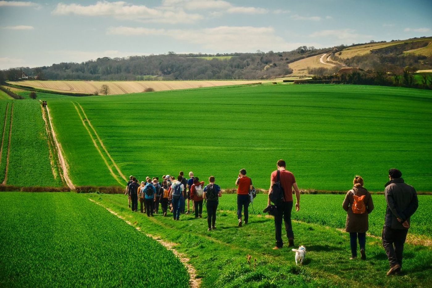 Trekking through Time: An Epic Hiking Adventure in Southern England gallery image 11
