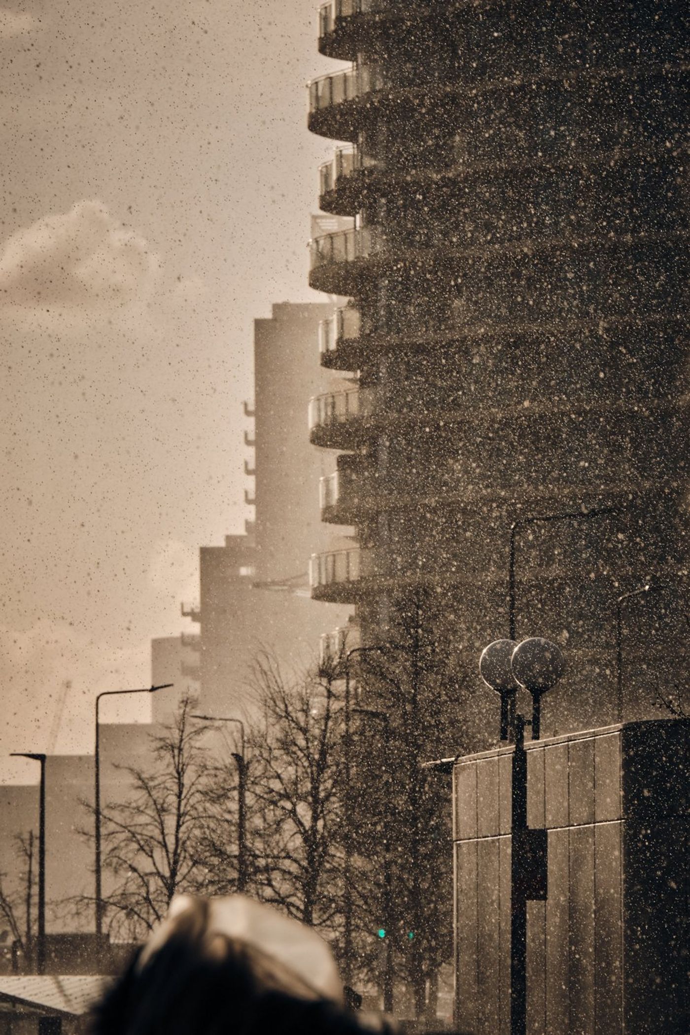 Chasing the Light: My Experience with the Fujifilm 50-140mm f2.8 gallery image 2