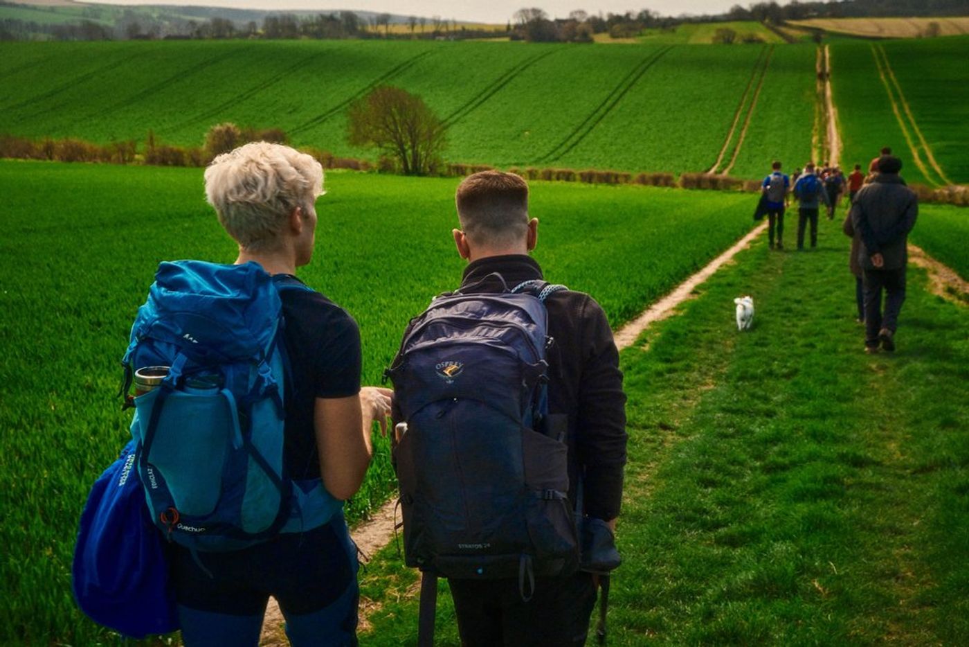 Trekking through Time: An Epic Hiking Adventure in Southern England gallery image 9