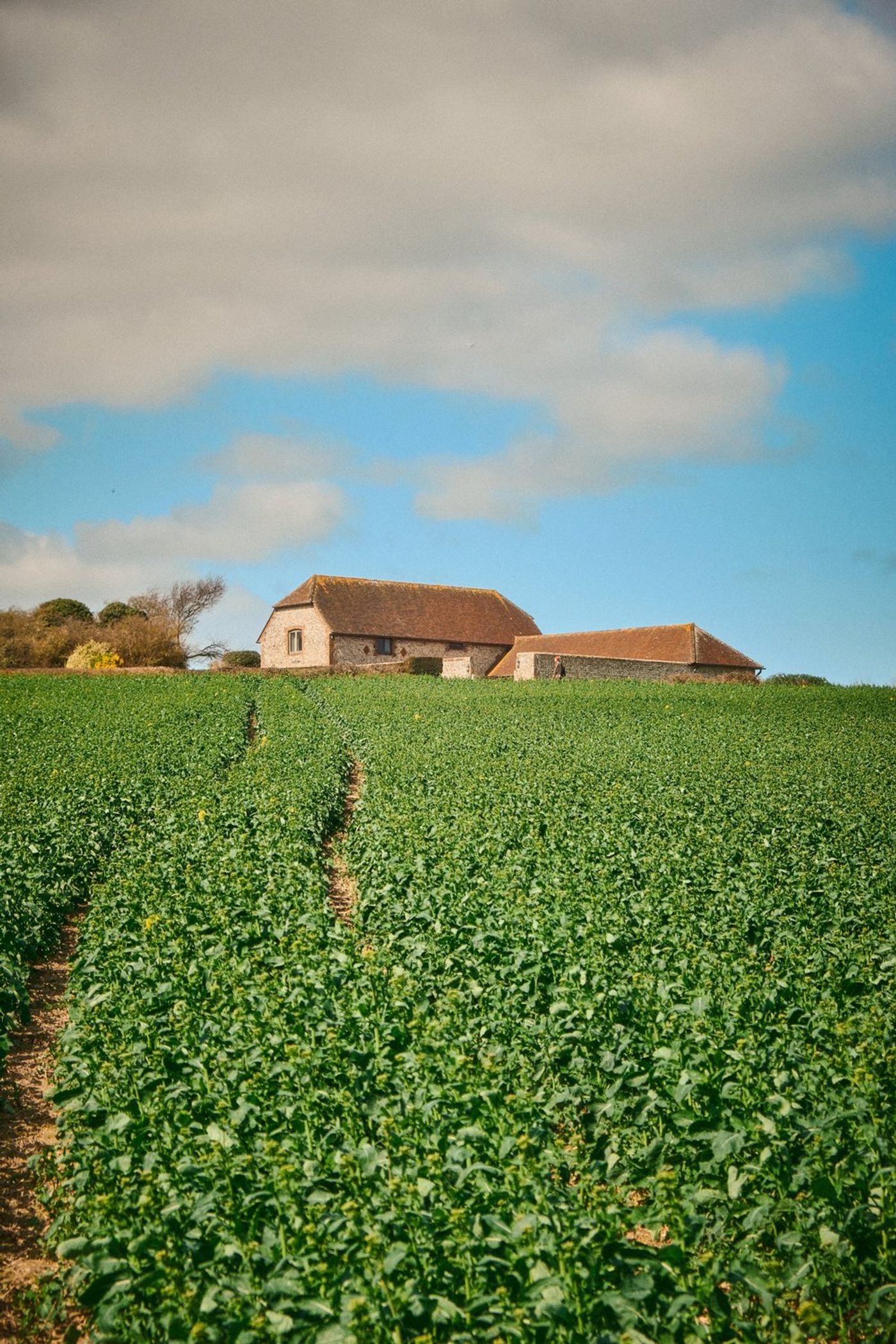 Trekking through Time: An Epic Hiking Adventure in Southern England gallery image 22