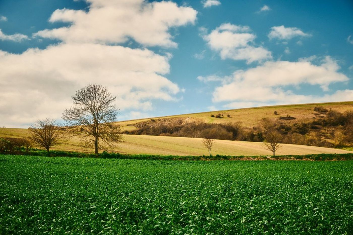 Trekking through Time: An Epic Hiking Adventure in Southern England gallery image 28