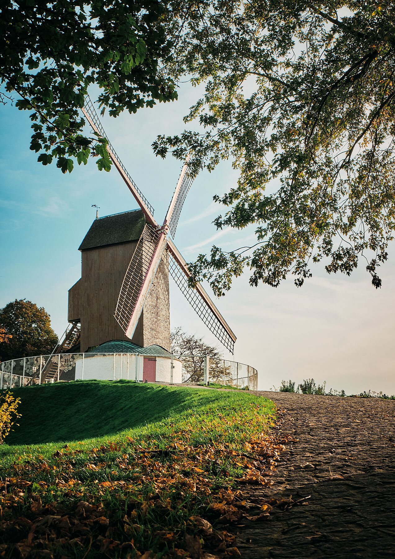 Windmill in Bruges - Classic Photo Print