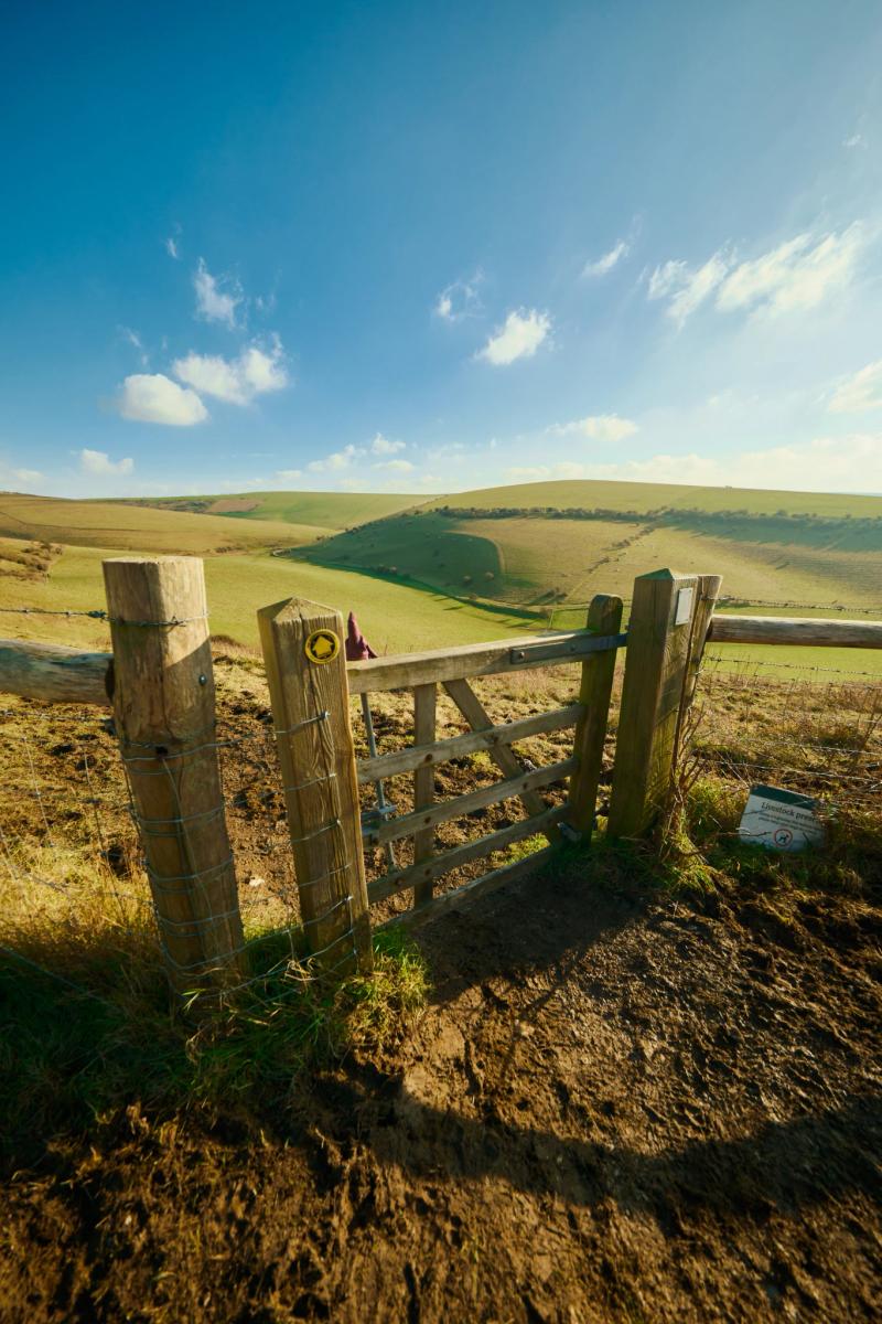 Nature gallery image 22