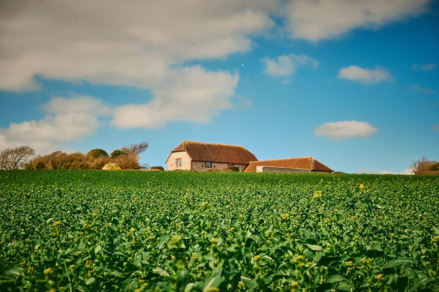 Trekking through Time: An Epic Hiking Adventure in Southern England gallery image 12