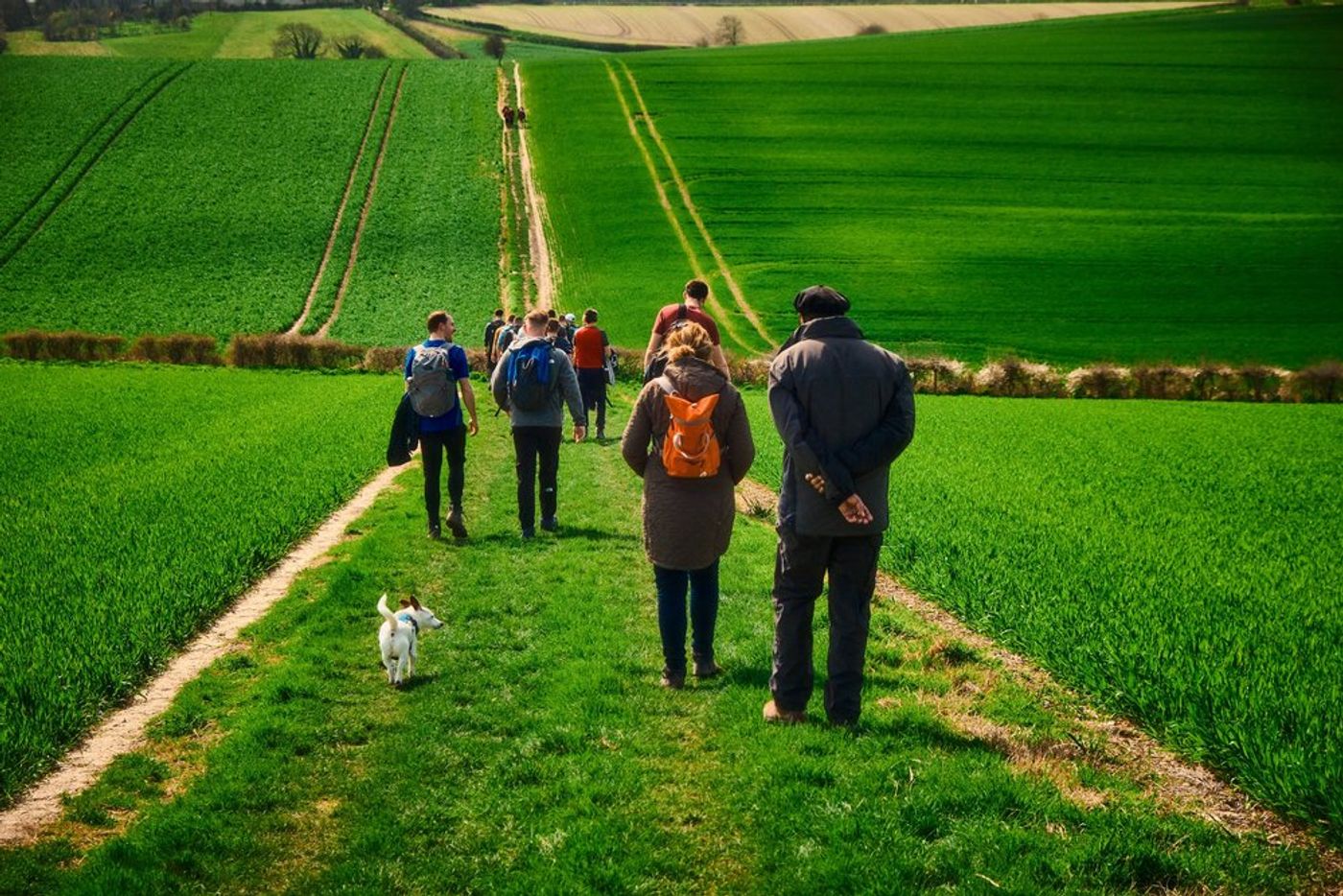 Trekking through Time: An Epic Hiking Adventure in Southern England gallery image 16