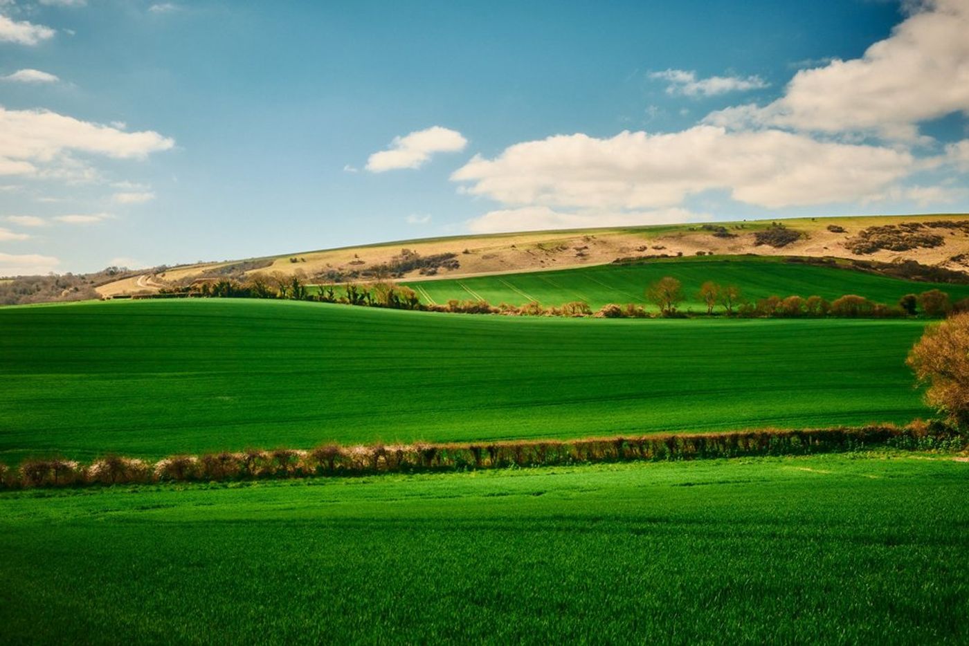 Trekking through Time: An Epic Hiking Adventure in Southern England gallery image 14
