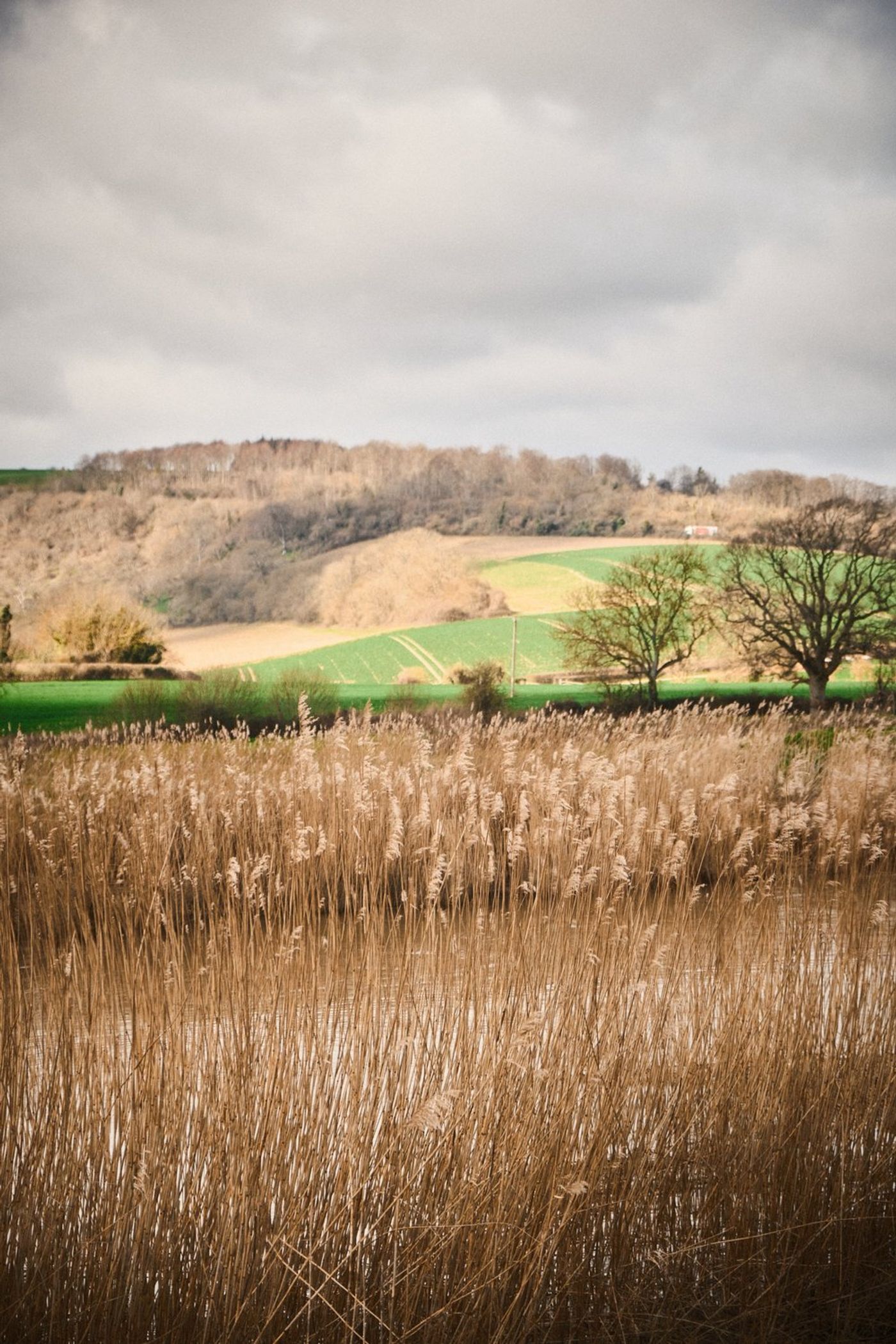 A Scenic Saturday Adventure: Trek/Fit's Amberley to Arundel Hike gallery image 19