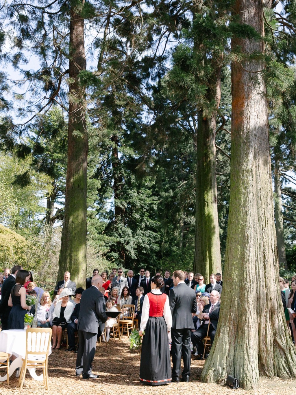Wide colour shot of the outdoor wedding ceremony among giant redwood trees at the Royal Botanic Garden Edinburgh, bride in red Norwegian bunad standing with the groom. Documentary overview.