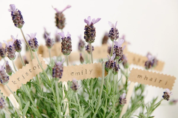 Close-up of lavender with kraft paper name tags reading "kristoff", "emily", and "mhairi" woven between the stems. Handmade wedding place card detail.
