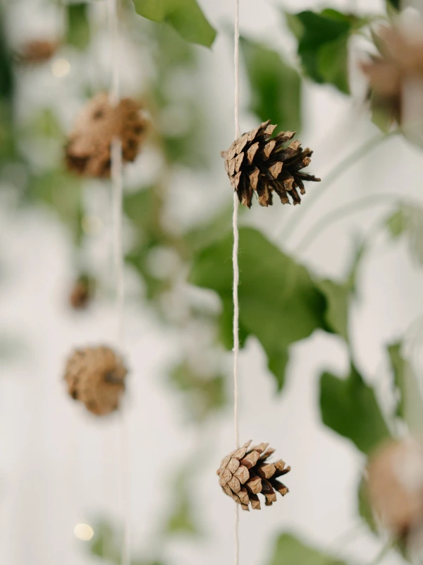 Minimalist wedding decor detail showing small pine cones hanging on white strings.