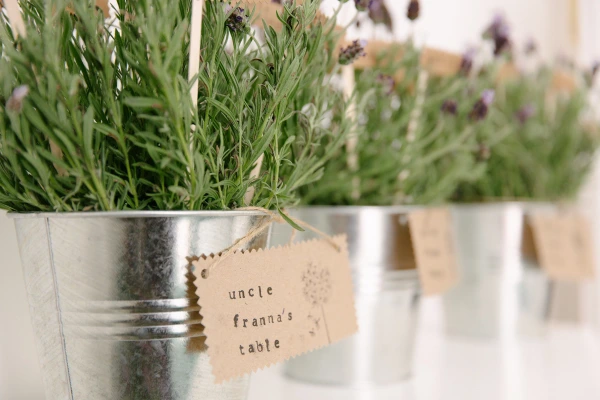 A row of galvanised metal buckets holding lavender and herb plants, each tagged with a handmade kraft paper label including "uncle franna's table". Wedding table plan display.