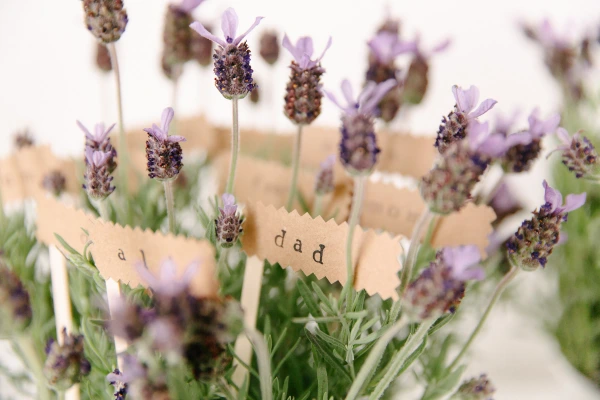 Close-up of lavender stems with kraft paper name tags reading "dad" woven between the flowers. Handmade wedding seating detail.