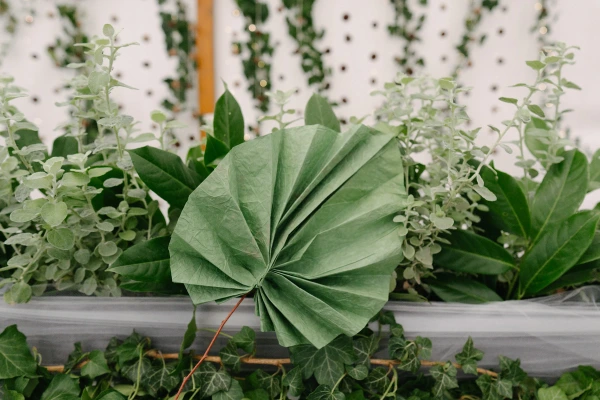 Close-up of a green pleated paper fan used as a creative wedding table decoration with leafy greens.