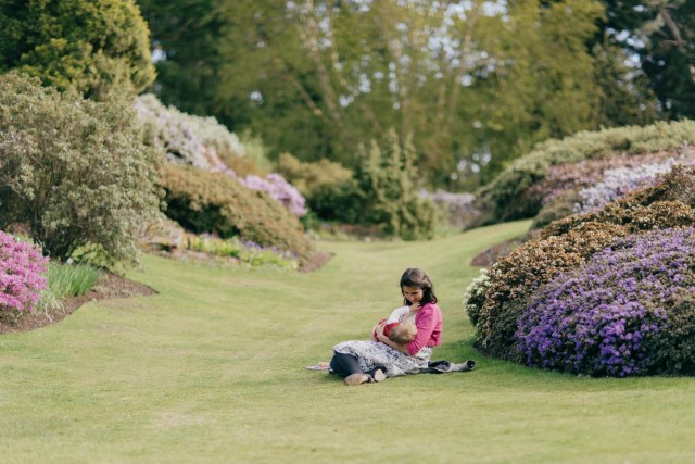 Mother with infant on lush garden lawn surrounded by blooming purple and pink rhododendron shrubs in spring