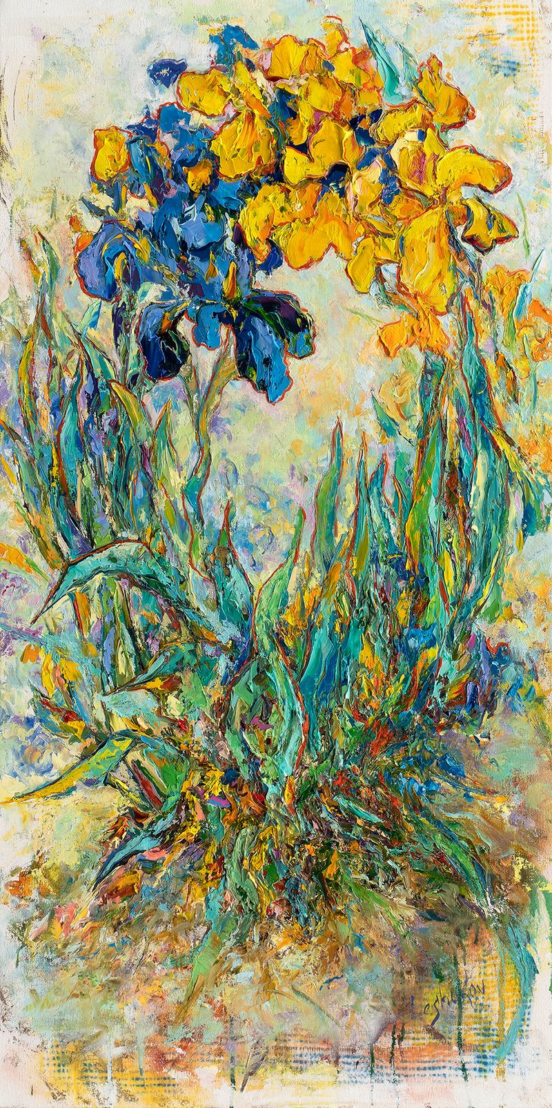 Blue end Yellow Irises