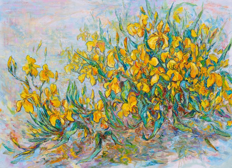 Yellow Irises - 2