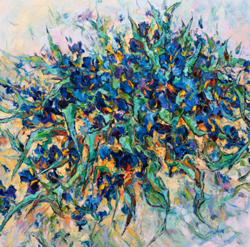 Blue Irises -1
