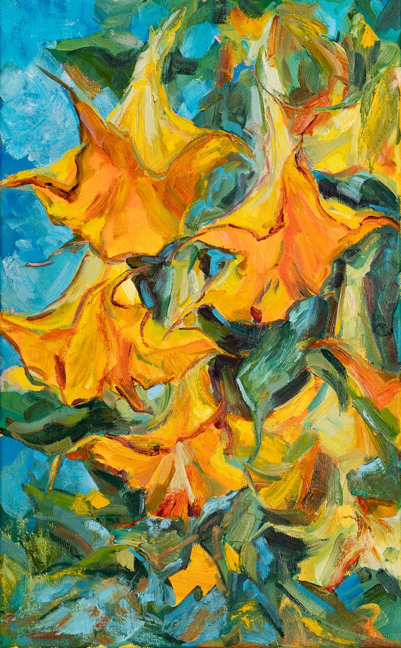 Angel Trumpet Flower