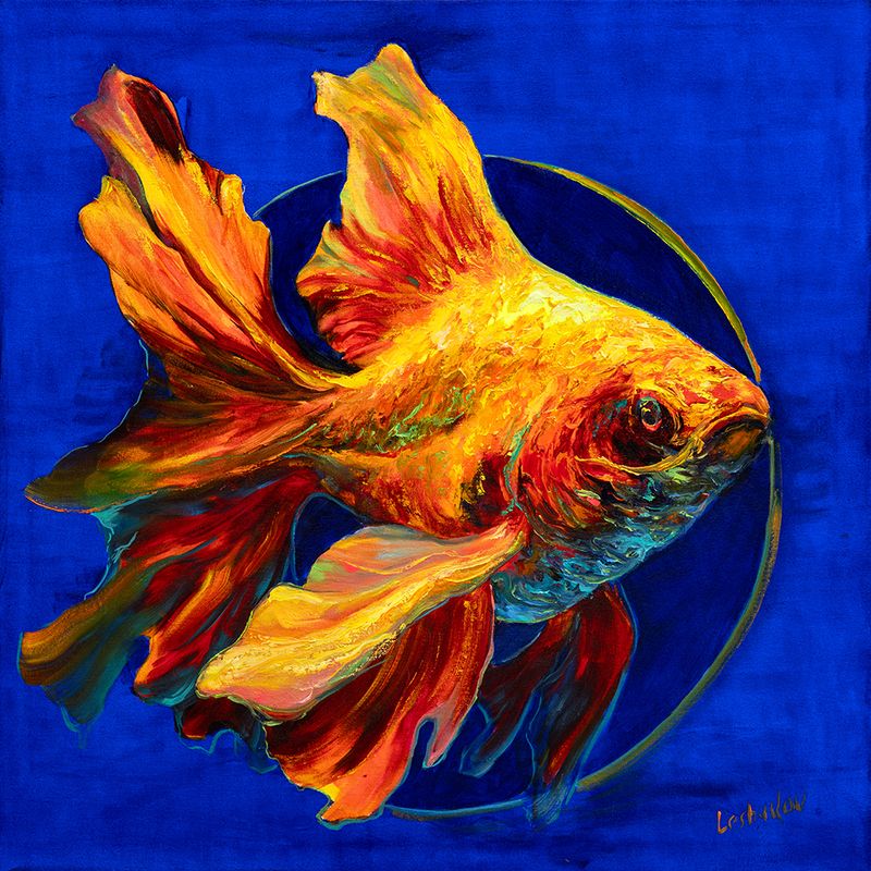 Gold Fish - 1