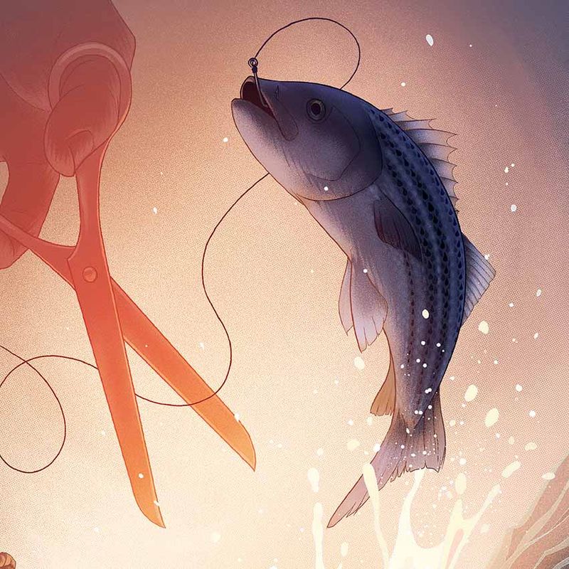 Are Striped Bass Doomed?