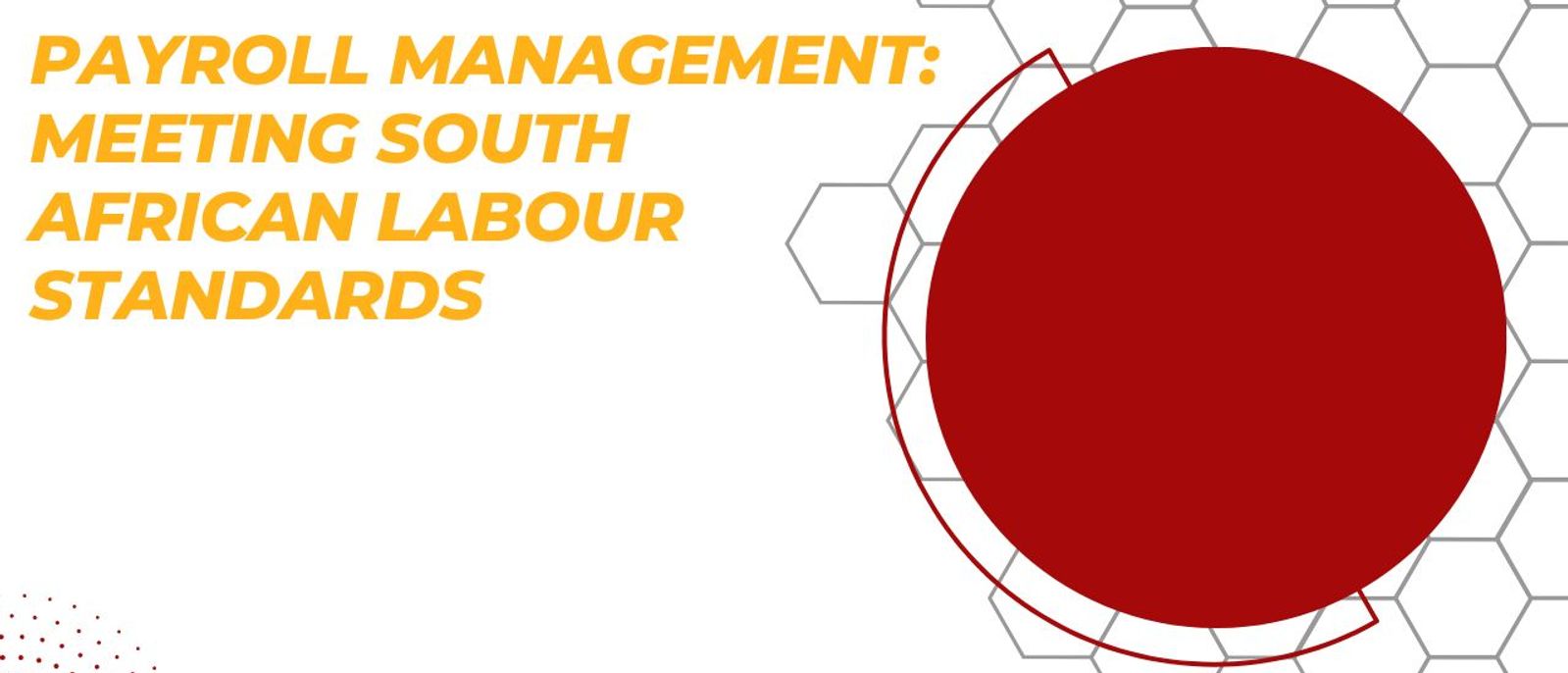 South African Labour Standards
